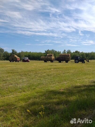 Сено в рулонах