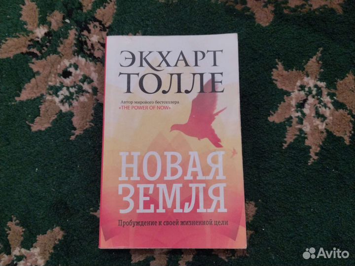 Экхарт толле Новая земля
