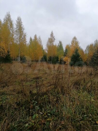 Участок 5,3 сот. (ИЖС)