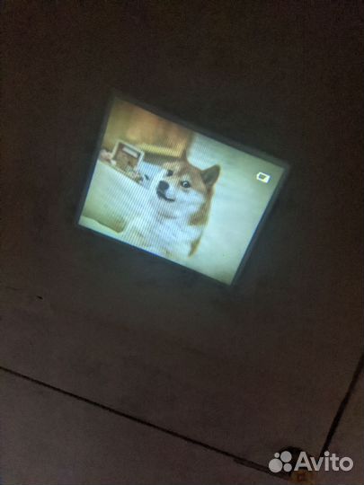 Nikon S1000pj уникальный компакт с проектором