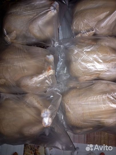 Индюки бройлеры