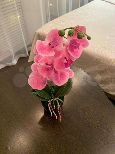 1-к. квартира, 33,2 м², 2/5 эт.