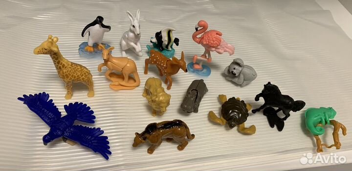 Киндер natoons