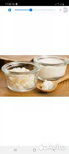 Тибецкий молочный гриб (кефирный)