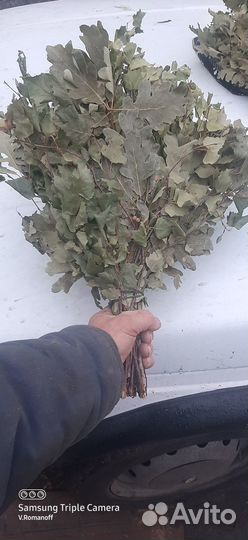 Веники для бани В комплекте