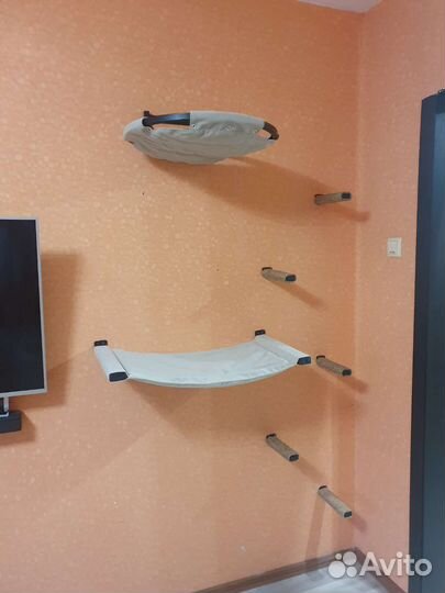 Настенный комплекс для кошек, когтеточка, лежак