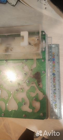 Муравьиная ферма бу