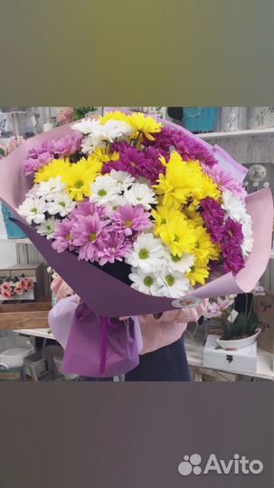 Комнатные растения цветы с доставкой