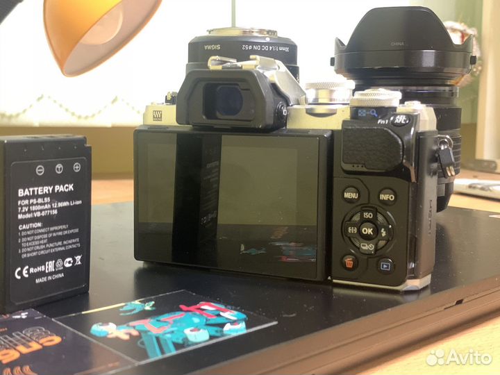 Olympus OM -D E M10 mark III