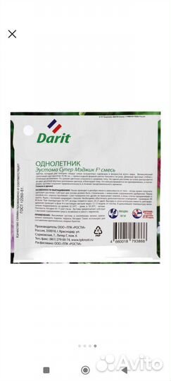 Эустома рассада