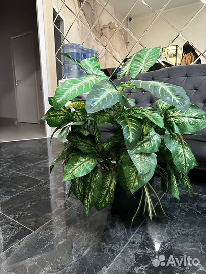 Искственный цветок Диффенбахия