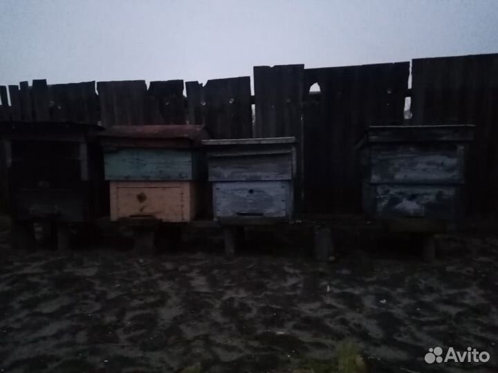 Медогонка и ульи для пчел