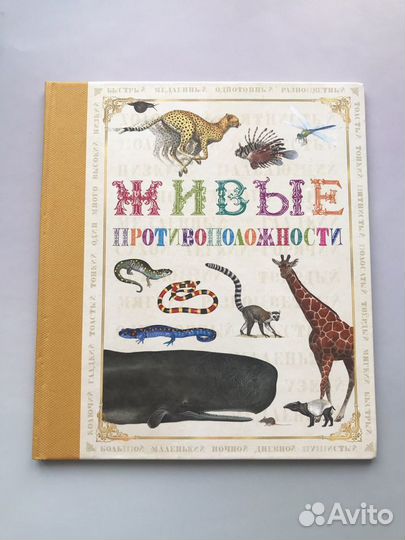 Живые цвета, Живые противоположности,детские книги