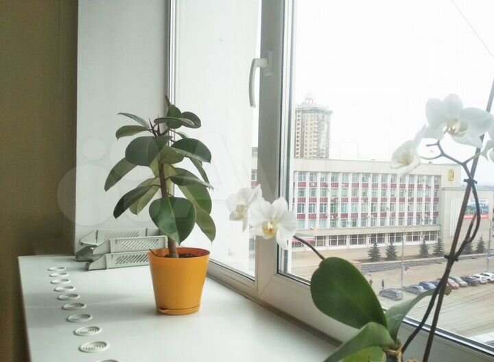 Офисное помещение, 10 м²