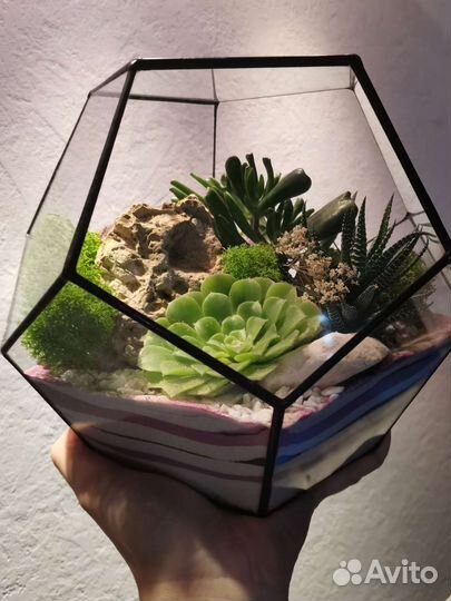 Флорариум Куб Подарок Цветы