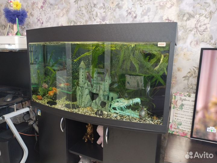 Аквариум