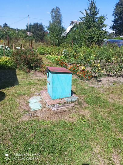 Дача 53 м² на участке 12 сот.