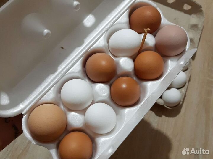 Домашние куриные яйца