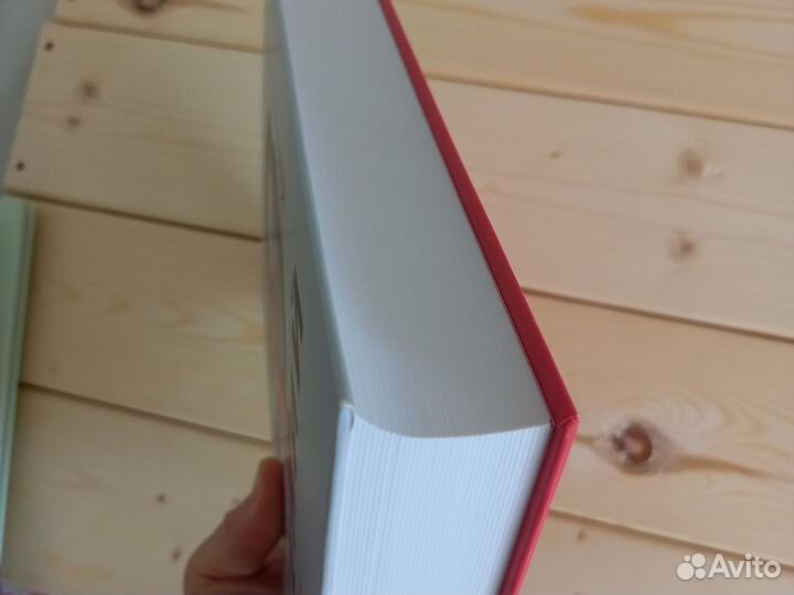 Гений Жизнь и наука Ричарда Фейнмана миф