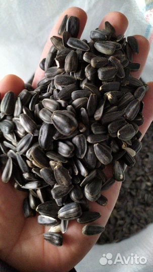 Очистка, колибровка, фасовка хранение зерновых, ма