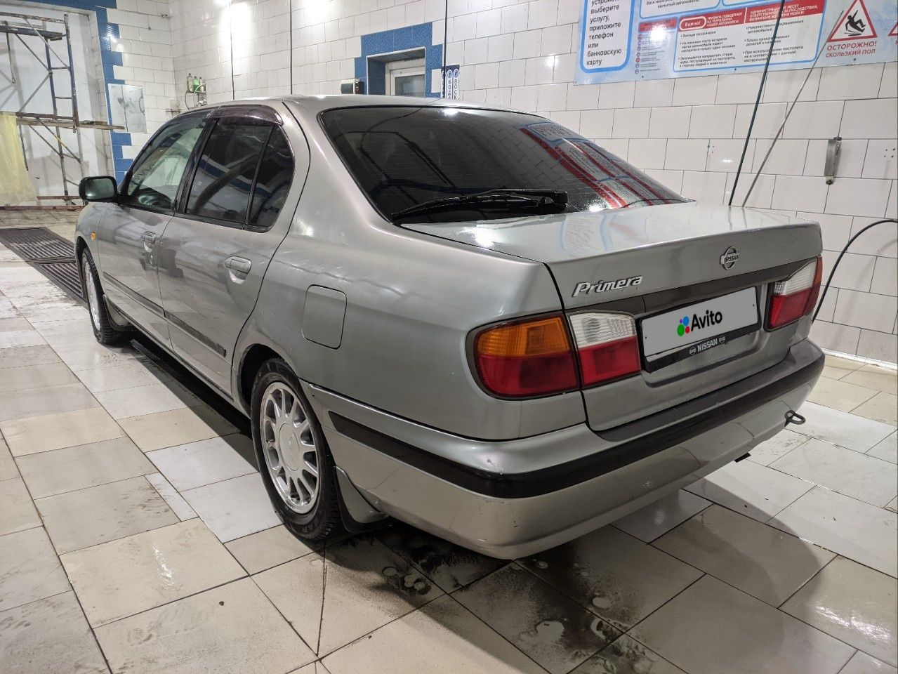 Nissan Primera: фото владельца
