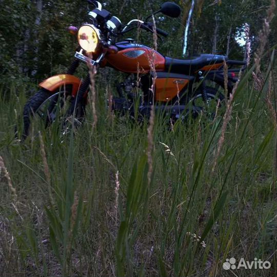 Alpha raser gs 110
