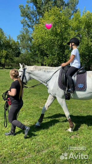 Конный спорт занятия