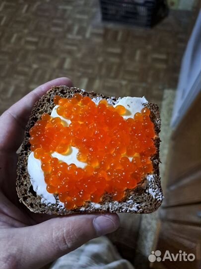 Красная икра