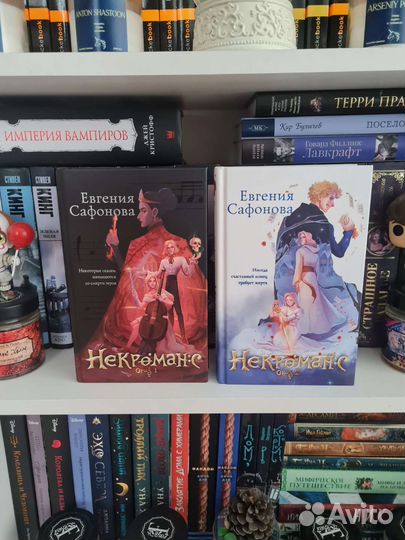 Книги Некроманс Евгения Сафонова