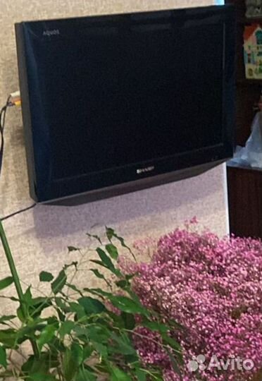 Телевизор sharp