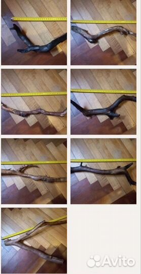 Коряга в террариум