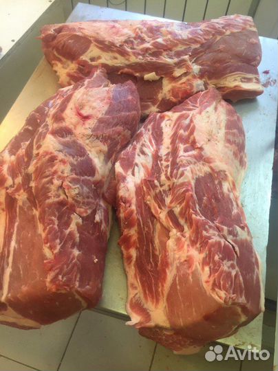 Мясо свинина говядина