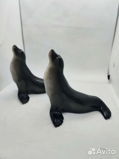 Пара Тюленей, лфз