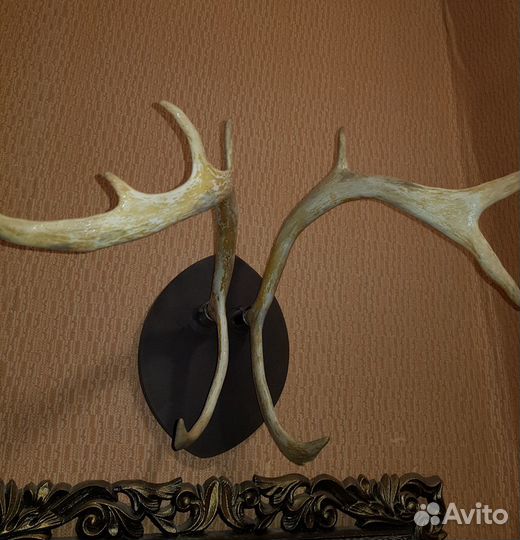Рога оленя