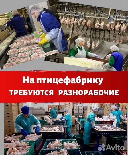 Подсобный работник вахта