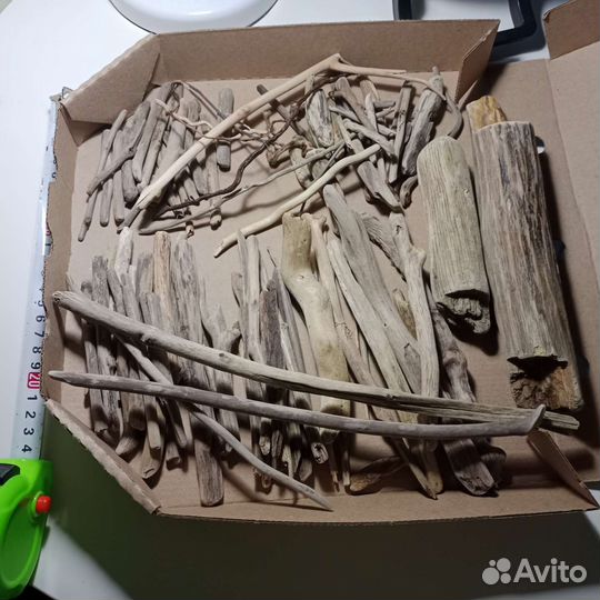 Дрифтвуд Черного моря