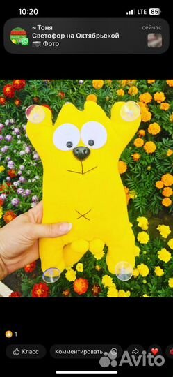 Кот на присосках саймон