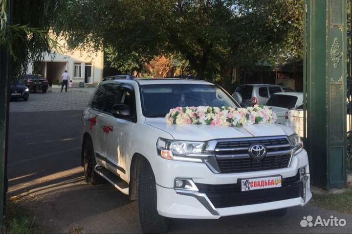 Прокат авто