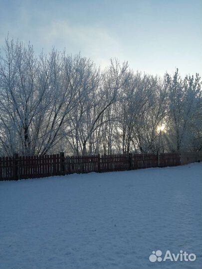 Проводник в мир приюта