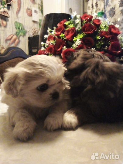 Красатулечки