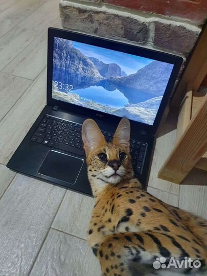 Игровой core i5. озу 8гб. ssd 500гб. с гарантией