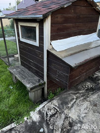 Курятник летний