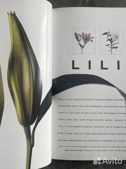 Цветочные инновации