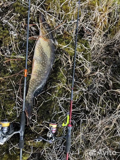 Спиннинг daiwa ninja с катушкой daiwa ninja