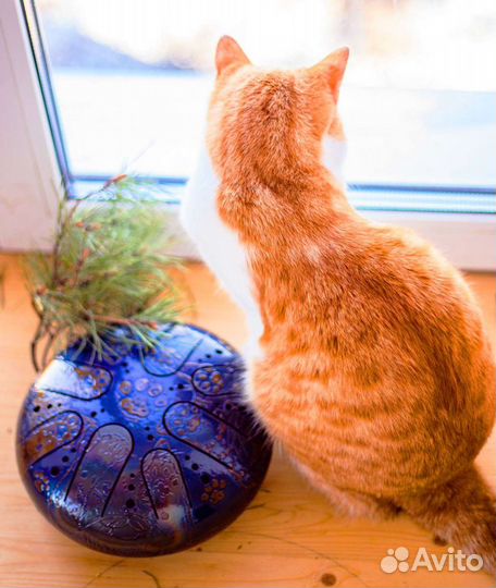 Глюкофон пентатоника