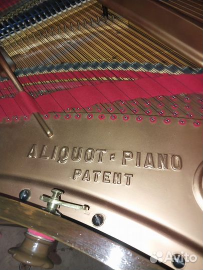 Рояль bluthner