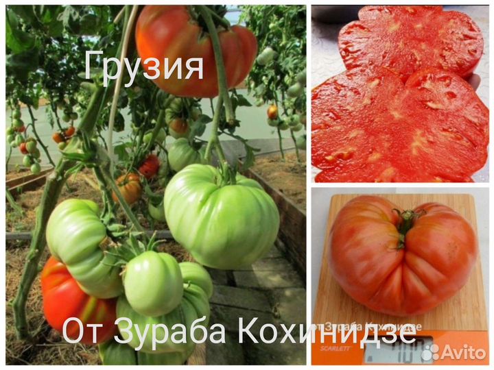 Семена томатов