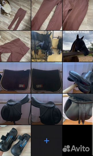 Вещи для конного спорта