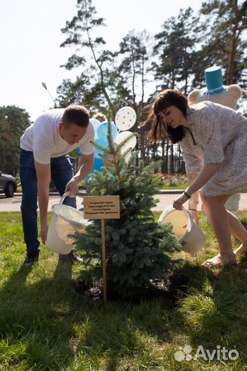 Выписка из роддома воздушные шары цветы медведь