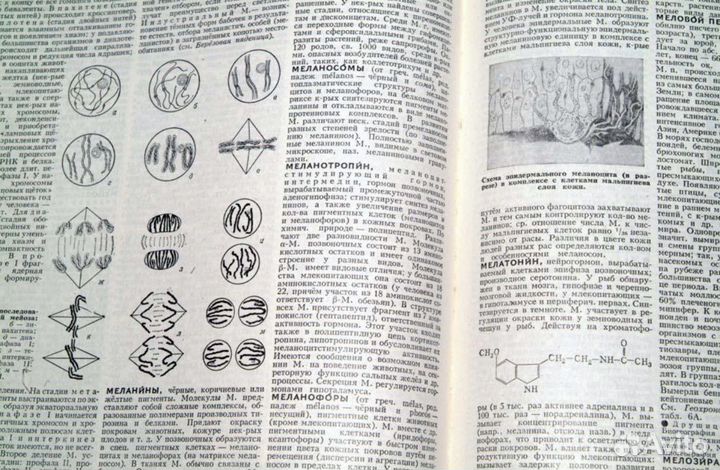 Биологический энциклопедический словарь